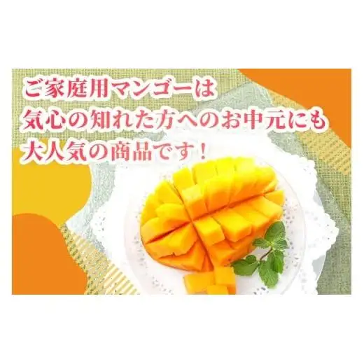 【先行予約】2026年発送　沖縄県宮古島・完熟マンゴー2kg【ご家庭用】ティダマンゴー宮古島農園（AI003）