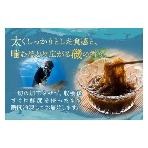 MJ02　生もずく4個セット　マジャーランド宮古島