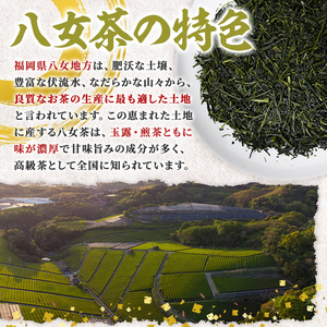 八女茶 煎茶ティーバッグ (3g×50個) 八女茶 緑茶 せん茶 お茶 許斐本家 福岡 やめ ティーパック 常温 常温保存 【くしだ企画】as44-004