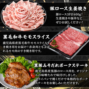 ＜定期便・全5回(連続)＞毎月違うお肉をお届け！お楽しみ定期便 (合計2.66kg以上) 牛肉 豚肉 【ナンチク】 T47