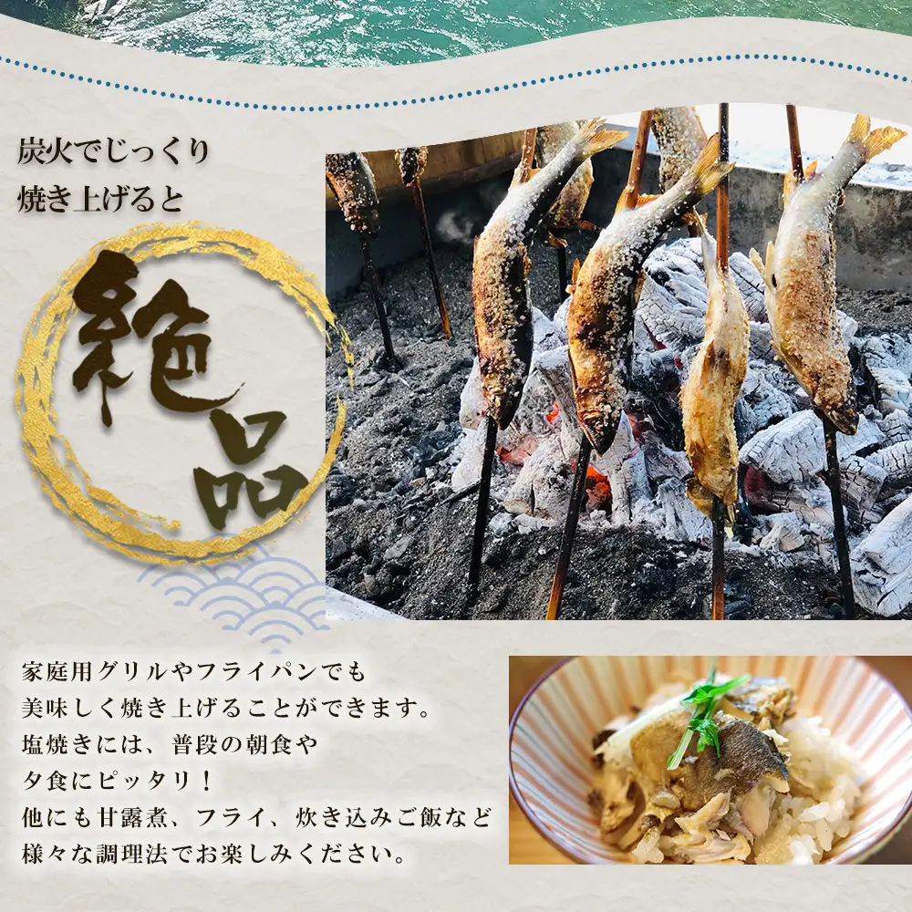 冷凍鮎　約500g 3E5