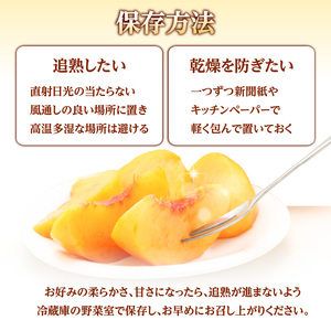 《先行受付》★黄桃（品種おまかせ）★ 約2kg(5～8玉) 秀品 【2026年8月中旬頃～発送予定】 063-003