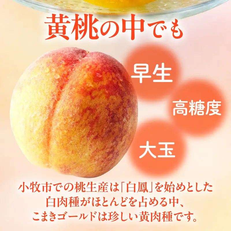 こまきゴールド（期間限定・数量限定）黄桃  新種黄桃 希少黄桃 早生黄桃 大玉黄桃[011O02]