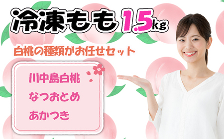 【2026年8月より順次発送】摘みたて瞬間★品種おまかせ冷凍もも小分けパック1.5kg（250g×6P)[H0158]