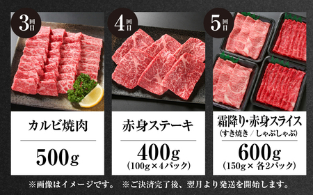 《定期便》全5回 飛騨牛 バラエティ 飛騨高山ミート 飛騨牛 [MZ104]