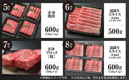 《定期便》全12回 飛騨牛 ざんまい 飛騨高山ミート 飛騨牛 [MZ106]
