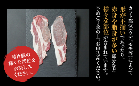 《定期便》全3回 結旨豚 ウデ又はモモ 切り落とし 500g 冷凍真空パック | 肉 お肉 豚肉 国産 食べ比べ セット 白川郷 岐阜県 白川村 ブランド豚 人気 おすすめ ギフト 飛騨高山ミート 18000円 [MS102]