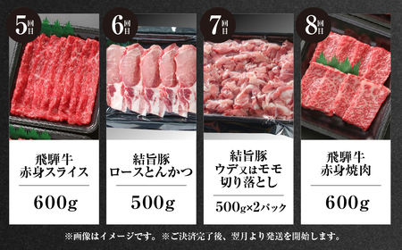 《定期便》全12回 飛騨牛＆ 結旨豚 大容量 飛騨高山ミート 飛騨牛 [MS108]