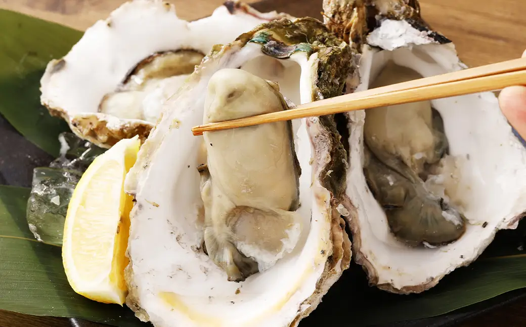 【指定日時必須】戸石産 岩牡蠣 計約3kg（生食用／カキナイフ付き）【2026年5月8日～8月31日迄発送予定】 牡蠣 カキ イワガキ 生牡蠣