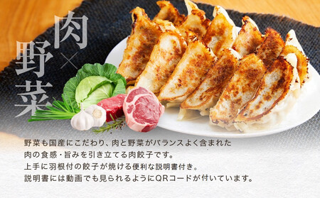 飛騨豚餃子12個入り×4セット（簡易包装） おいしい焼き方説明書付き NL005|高山市 餃子