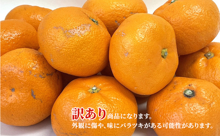 訳あり 三ヶ日みかん 早生 2.5kg 蜜柑 ミカン 果物 くだもの フルーツ 浜松