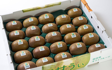 福岡県産 ブランドキウイ 甘うぃ 約1.5kg （12-15玉）キウイ キウイフルーツ フルーツ 果物 国産【2026年10月下旬～12月上旬発送予定】