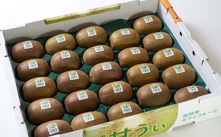 福岡県産 ブランドキウイ 甘うぃ 約3kg （24-33玉） キウイ キウイフルーツ フルーツ 果物 国産【2026年10月下旬～12月上旬発送予定】