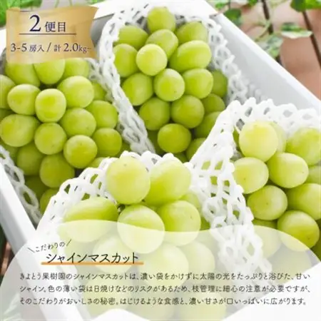 【発送月固定定期便】藤稔とシャインマスカットの人気セット! 各2.0kgの満足便!(岡山県産)全2回【配送不可地域：離島】【4068046】