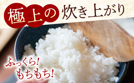 米 令和7年産 にこまる10kg [BAFU001] 米