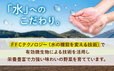 旬野菜セット 6人用 [BAFW002] 野菜詰合せ 