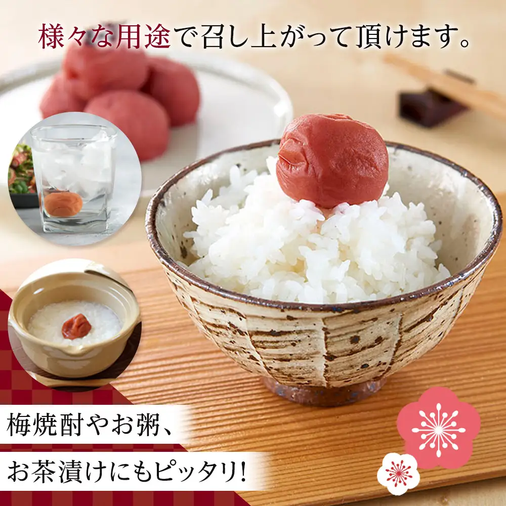 梅心（うめごころ）ながおかや 紀州花のうめ（しそ梅）650g