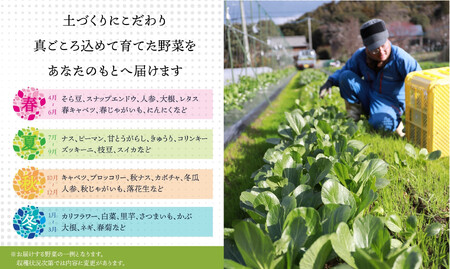 有機JAS認証 旬の野菜セット 8品【ぶたちゃんの畑】_HA1708