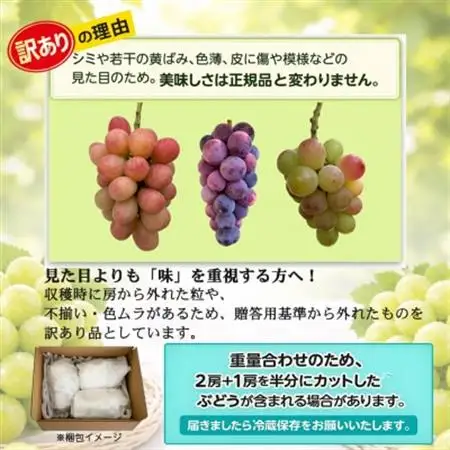 長野県中野市産のぶどう　2種食べ比べセット　計1kg(2～3房)【配送不可地域：離島】【1609757】