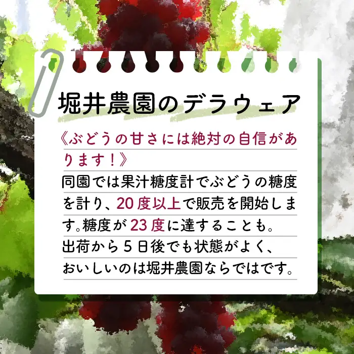 ピオーネ2房とデラウエアの詰め合わせ No.311
