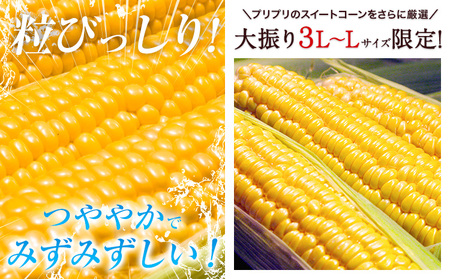 【ふるなびWEEK対象】とうもろこし 20本 とうもろこし【着日指定不可】