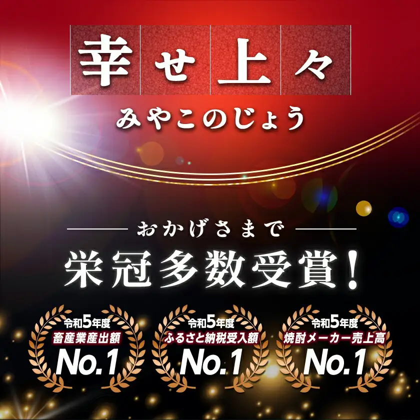 【都城ロゴマーク】手ぬぐい4枚※ポスト投函〔LC-1504〕_(都城市) インテリア ふきん 神話 都城ブランド