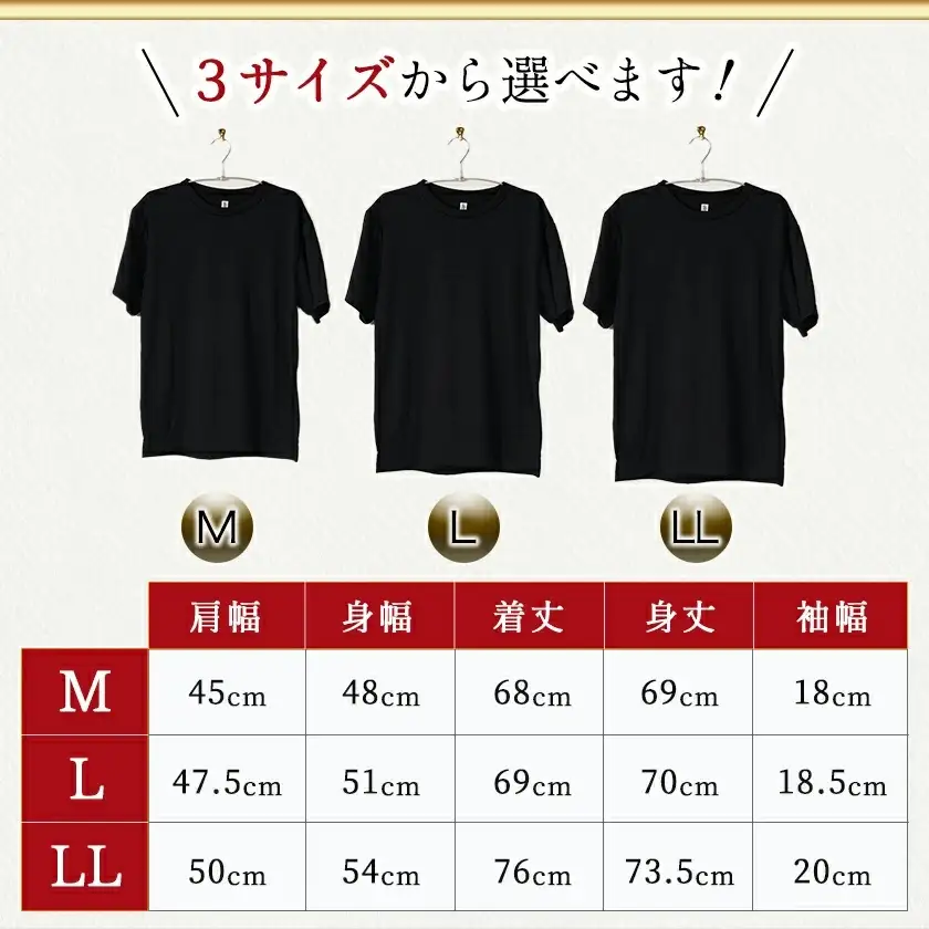【都城ロゴマーク】Tシャツ※ポスト投函〔LD-1502〕_(都城市) Tシャツ ロゴ ネイビー ブラック 選べる 神話