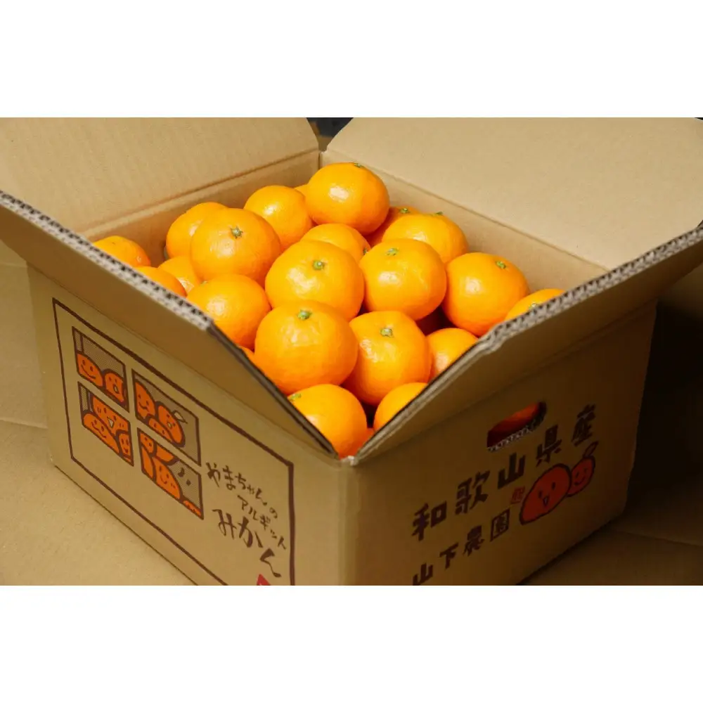 樹上完熟早生みかん 約5kg SS～Lいずれか 山下農園