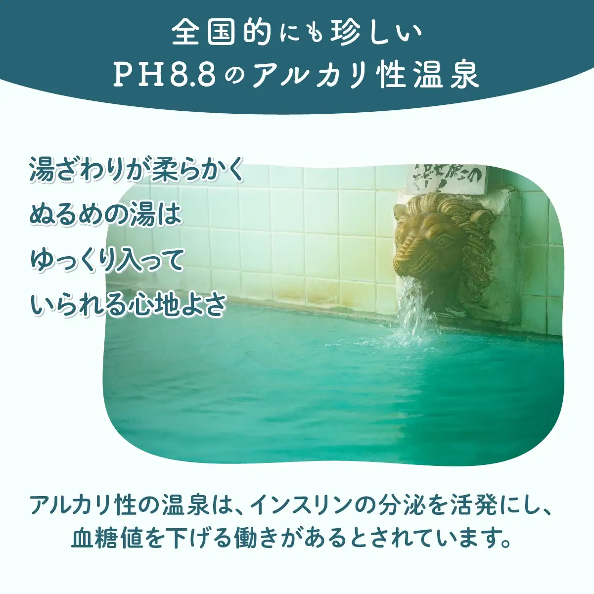 ふるさわおんせん回数券27回　185P8402