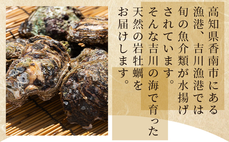 【冷蔵】牡蠣 加熱用 先行予約 岩牡蠣 2kg eb-0034