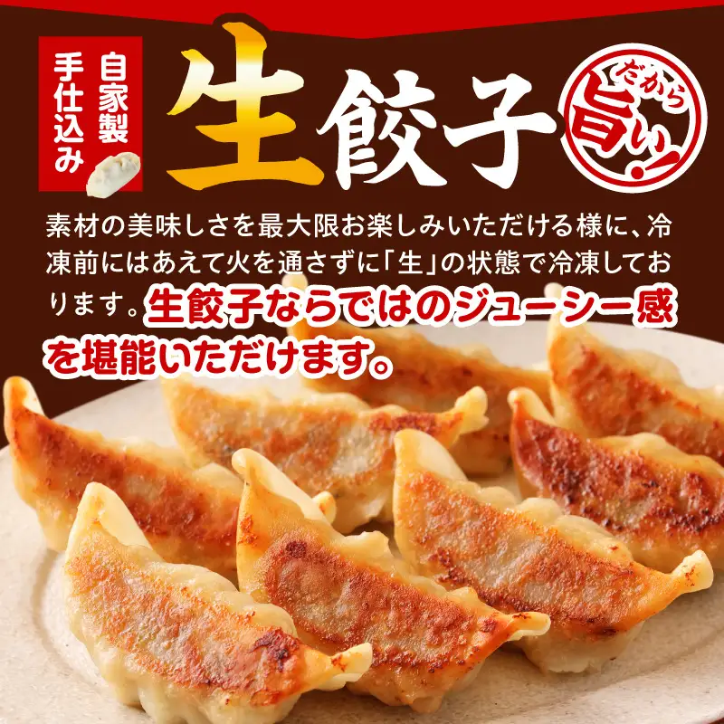 市場で製造直売の餃子！ 12パックセット 餃子 ギョウザ ぎょうざ ブランドポーク 生餃子 にんにく餃子 辛餃子 ニラ餃子冷凍 屋台骨
