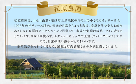 「ナイヤガラ・スパークリング」フルボトル（750ml×2本）計1500ml セット ぶどう ワイン スパークリングワイン 酒 葡萄 テーブルワイン 北海道産