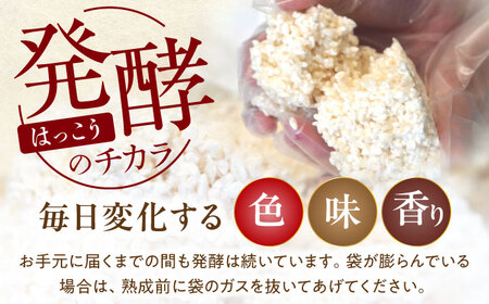 育てる味噌 5kg [VAV019] みそ 米味噌 キット