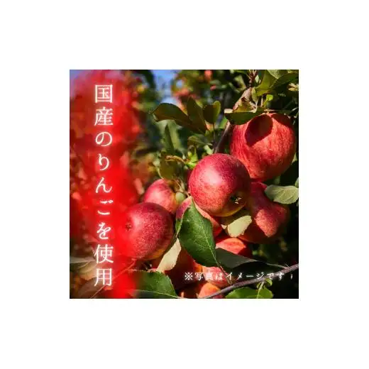 メルカドレグメス　ドライフルーツ　りんご ／ ドライフルーツ フルーツ 果物 くだもの りんご リンゴ 林檎 自家製 3000円