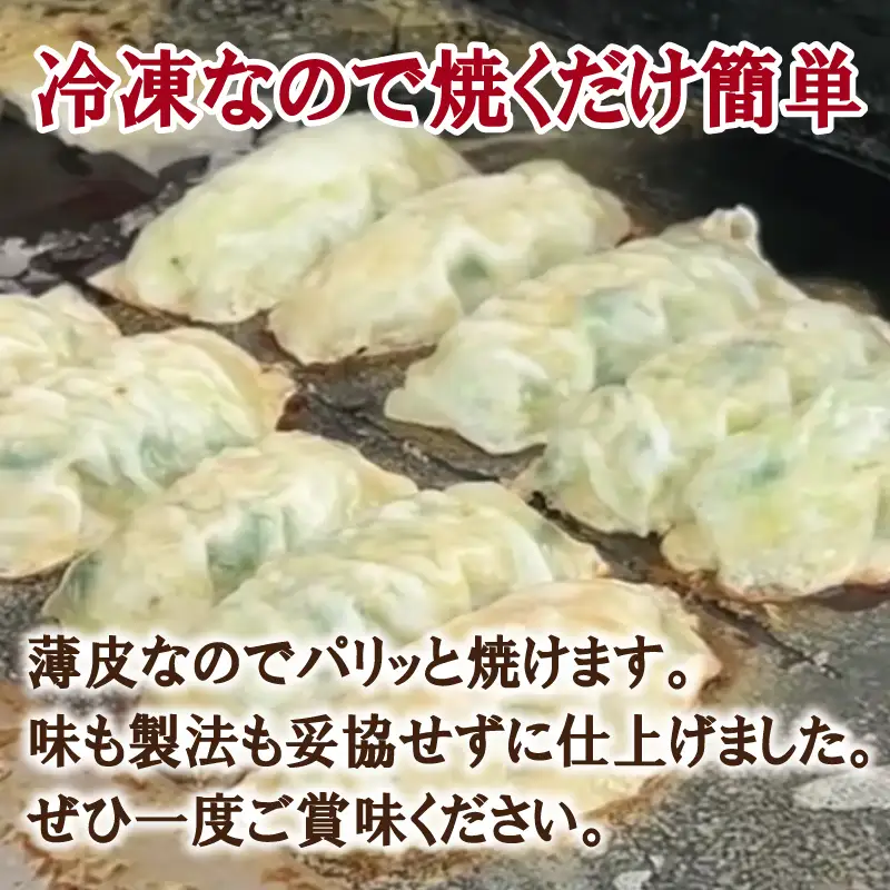 【合計1000個以上】餃子三昧 定期便 88個×12回【毎月配送コース】
