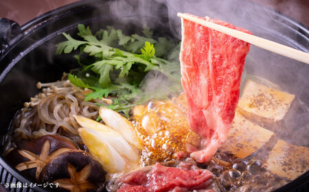 【全6回定期便】博多和牛 A5ランク サーロイン約500g すき焼きセット（割下付き） 雌 牛肉 肉 すき焼き セット A5 [ABEN043]