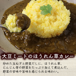 レトルト カゴメ Plant Based 大豆ミートのほうれん草カレー 10個入 レトルト レトルト レトルト maruyama025