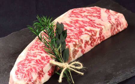 【全6回定期便】国産 博多和牛 A5ランク サーロイン ステーキ 250g×2枚 雌 ステーキ 和牛 肉 BBQ [ABEN015]