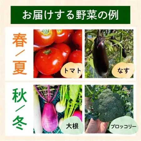 【毎月定期便】【訳あり】季節の野菜セット4～6品　京都府久御山町産全6回【配送不可地域：離島】【4068241】