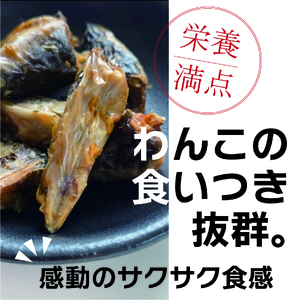 1029 うなぎ屋が作ったわんこ専用おやつ　うなぎサクサクくん極（袋入り）３袋セット