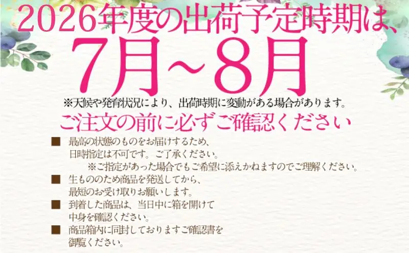 2026年予約受付中 シャインマスカット 晴王 7月～8月出荷 2房 約1.4kg  人気 岡山県産 種無し 皮ごと食べる みずみずしい  フレッシュ 晴れの国 おかやま 果物大国 ハレノフルーツ