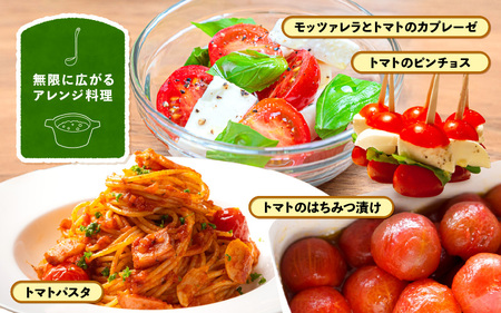 定期便 ≪3ヶ月連続お届け≫ フルーツミディトマト 約1kg × 3回 トマト 野菜 [m37-a027]