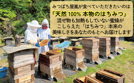 国産蜂蜜 500g みつばち屋嵐 国産蜂蜜 F010-129002