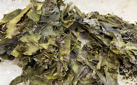 【さいぶのひじき】磯の香り豊かな高級食材！『鴨川産 天然 はばのり』５枚《数量限定》　[0020-0093]