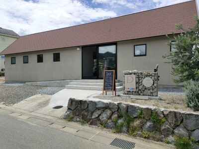ビカクシダ Mサイズ 【3月～11月発送】 232-002 ふるさと納税 ヒガクシダ 植物 観葉植物 インテリア