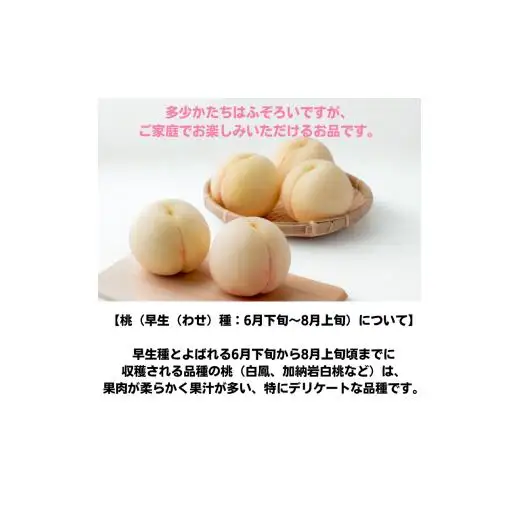 家庭用 桃 3玉 大玉 約900g 岡山県産 【先行予約 2026年7月上旬から順次発送】