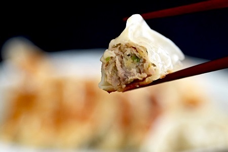 京丹波餃子 32個（16個入り×2ケース） 4人前 京丹波ぽーく ぎょうざ ギョウザ  [009KT001]