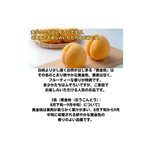 家庭用 黄金桃 3玉 大玉 約900g 岡山県産【先行予約 2026年8月下旬から順次発送】