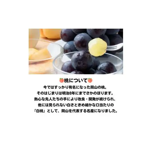 詰合せ 白桃 晩生種 2玉 ニューピオーネ 1房 合計約1.0kg 岡山県産 【先行予約 2026年8月下旬から順次発送】