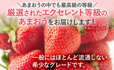 【2027年発送先行予約】プレミアム あまおう EX（化粧箱入り）いちご フルーツ 果物 あまおう 約400g×1パック 苺 イチゴ ギフト 贈答用 贈り物 お祝い 祝い 化粧箱 福岡【発送時期2027年2月上旬～2027年4月上旬】
